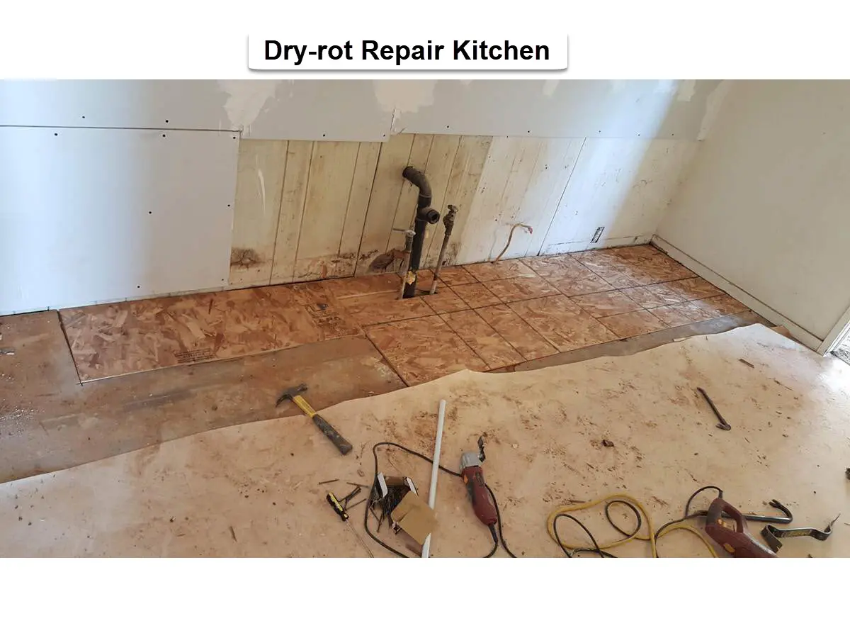 Kitchen dry rot repair in SW Portland showing damaged wall and subfloor areas opened and repaired prior to finish work